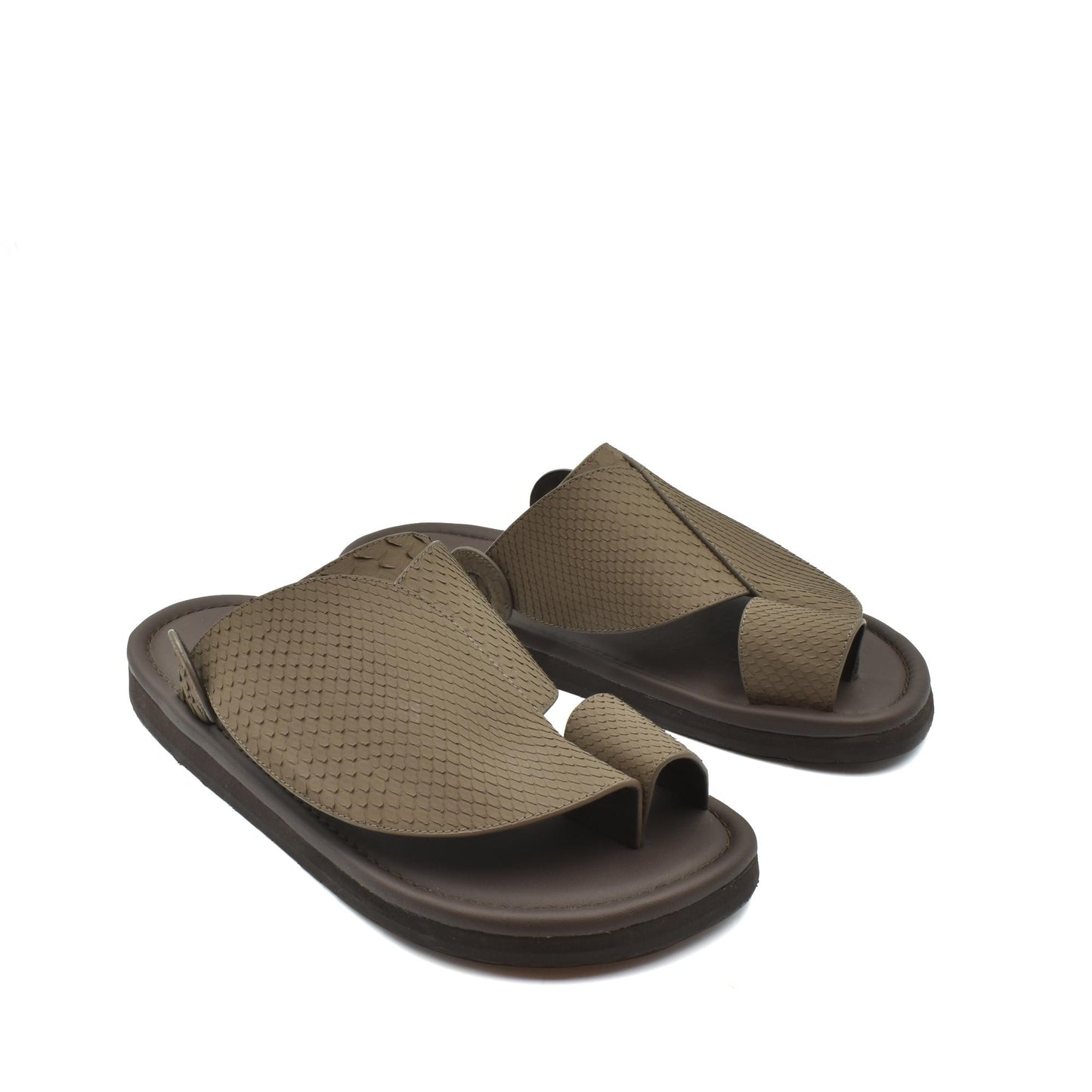 Piatto Vela Python