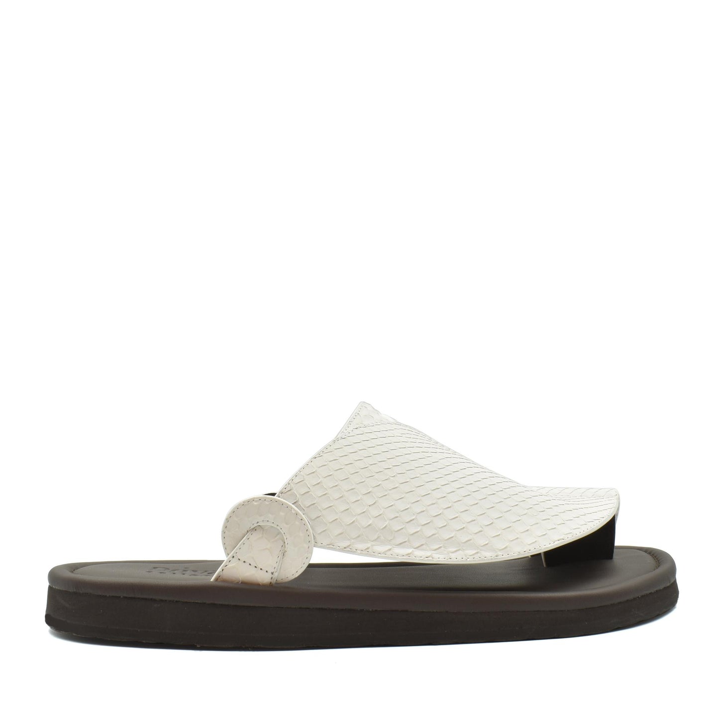 Piatto Vela Python